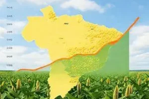 projeções de safra soja
