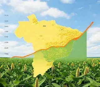 projeções de safra soja