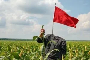 excesso de soja na China