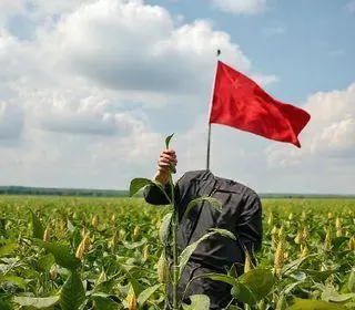 excesso de soja na China