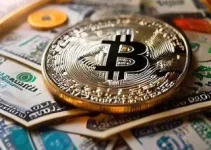 investimento em bitcoin