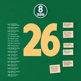 BBB 26