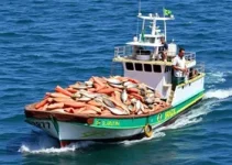 exportação de pescados do Brasil