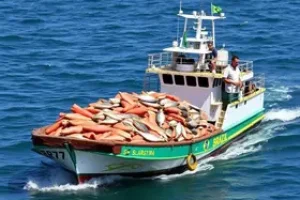 exportação de pescados do Brasil