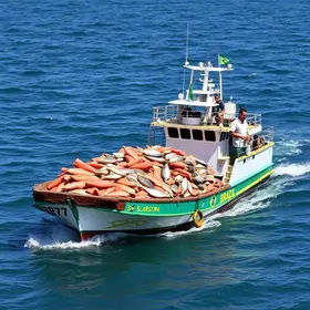 exportação de pescados do Brasil