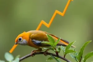 crescimento do crédito