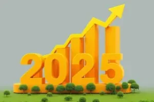 PIB 2025