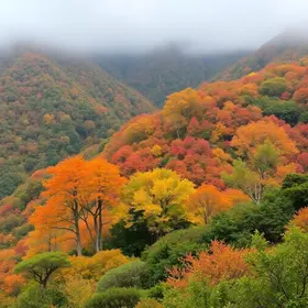 quando começa o outono no Brasil em 2026