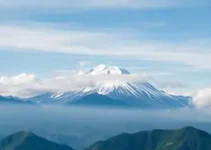 importação de Mounjaro