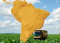 exportação de soja