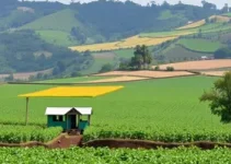 subvenção ao diesel