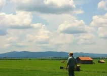 seguro rural