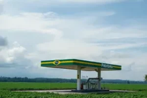 produçao de ureia